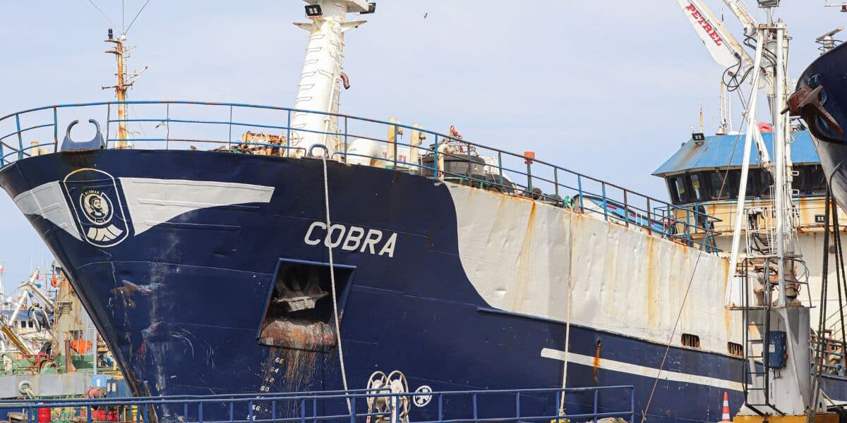 Cobra