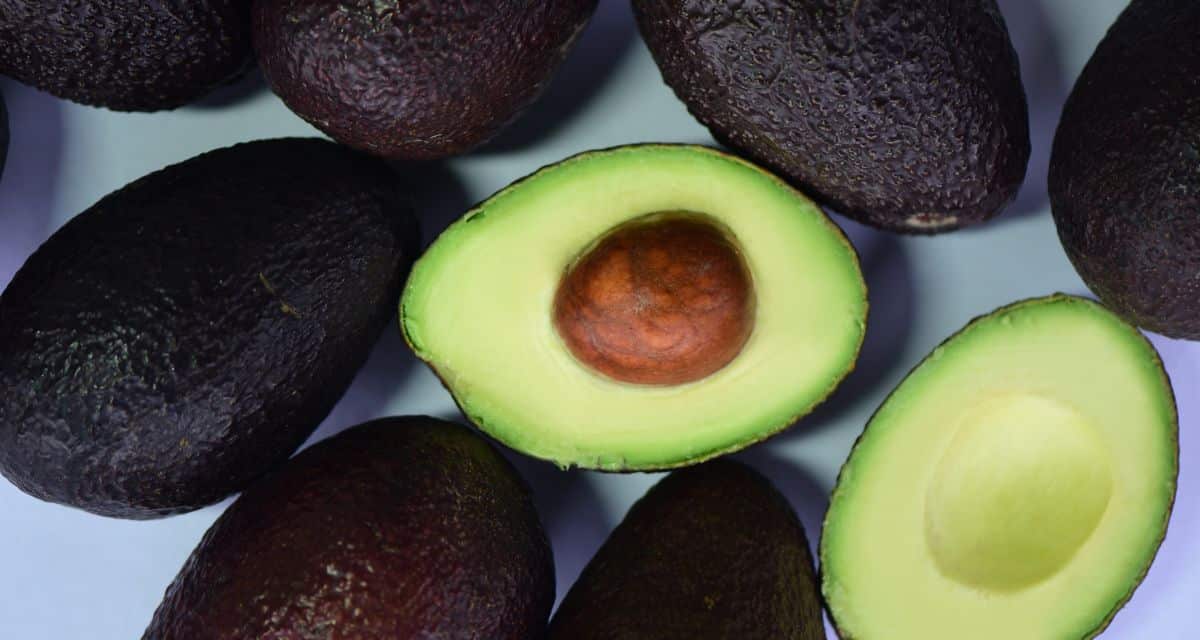 Palta