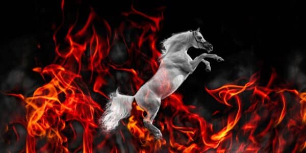Caballo de Fuego