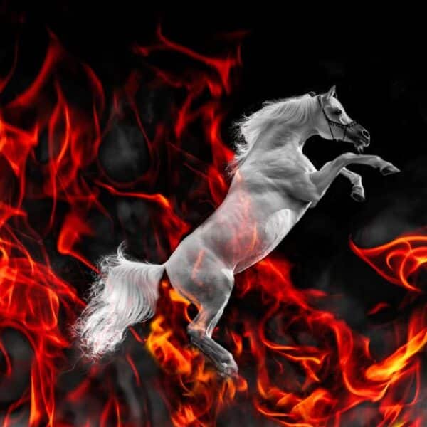 Caballo de Fuego