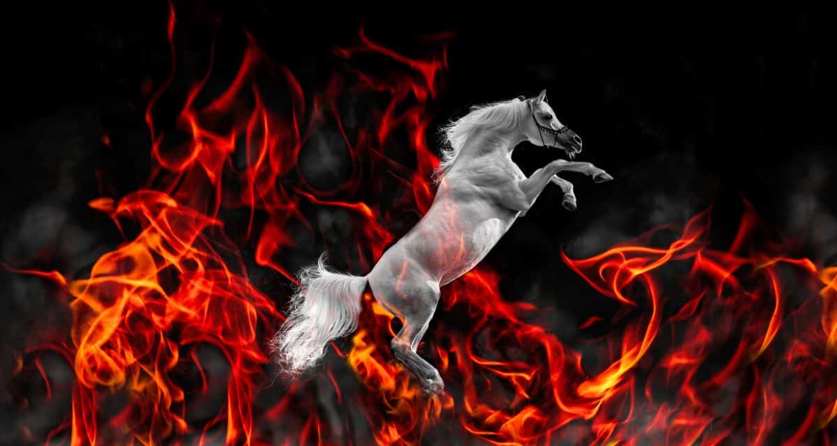 Caballo de Fuego