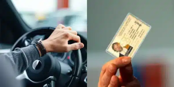 licencia de conducir