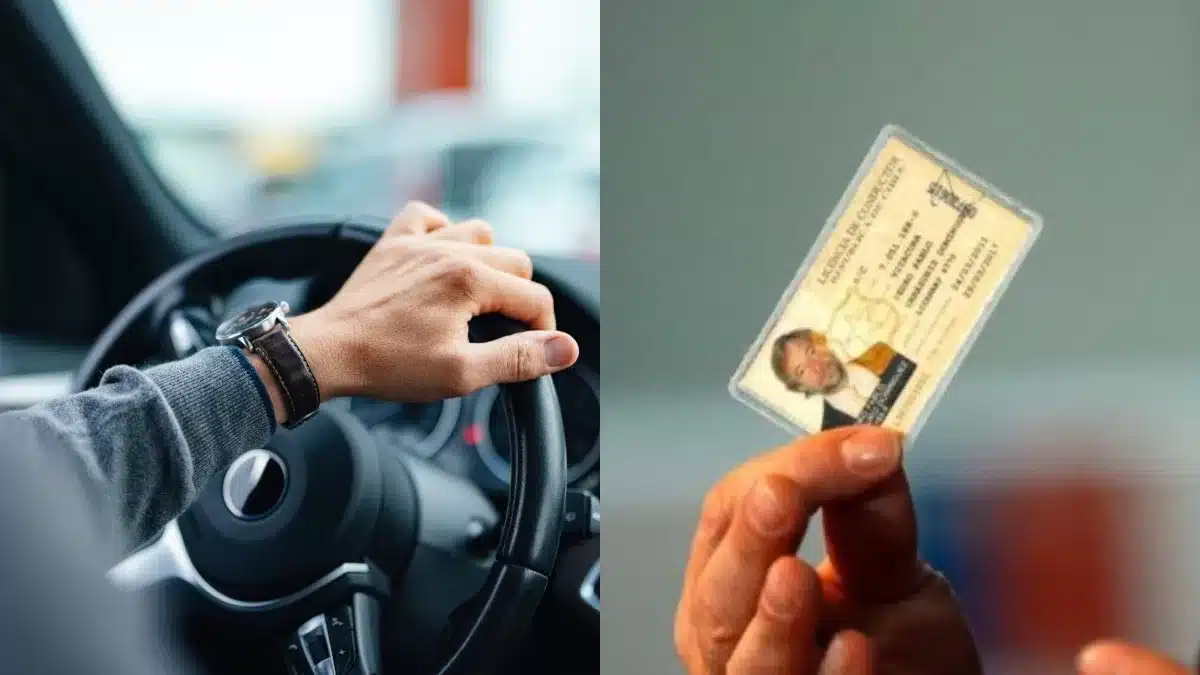 licencia de conducir