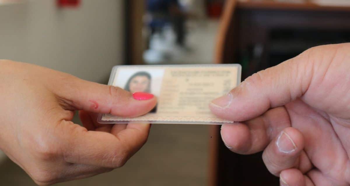 licencia de conducir