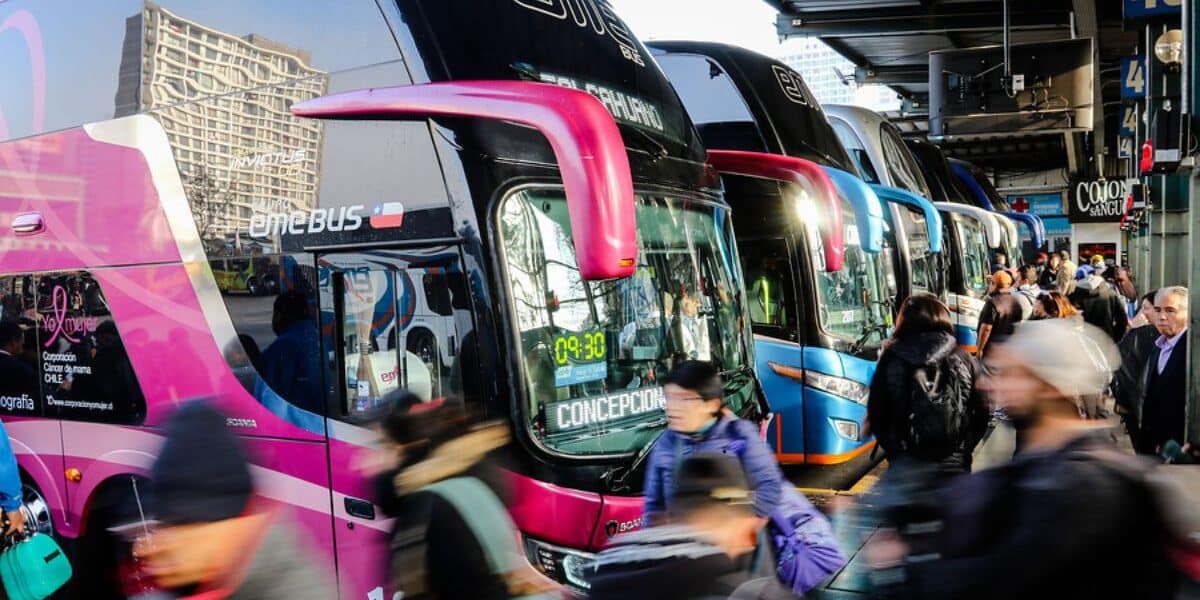 Buses