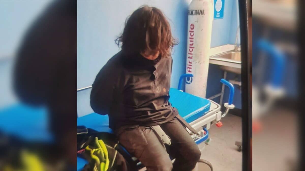 Hernán Meneses Leal