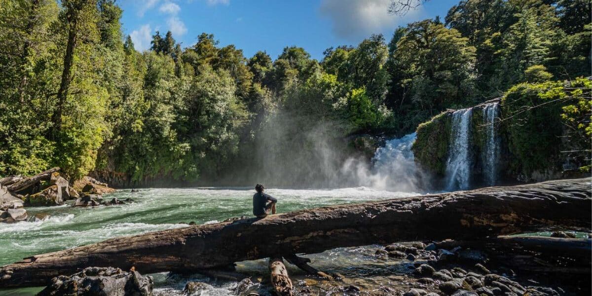 Parque Nacional Puyehue