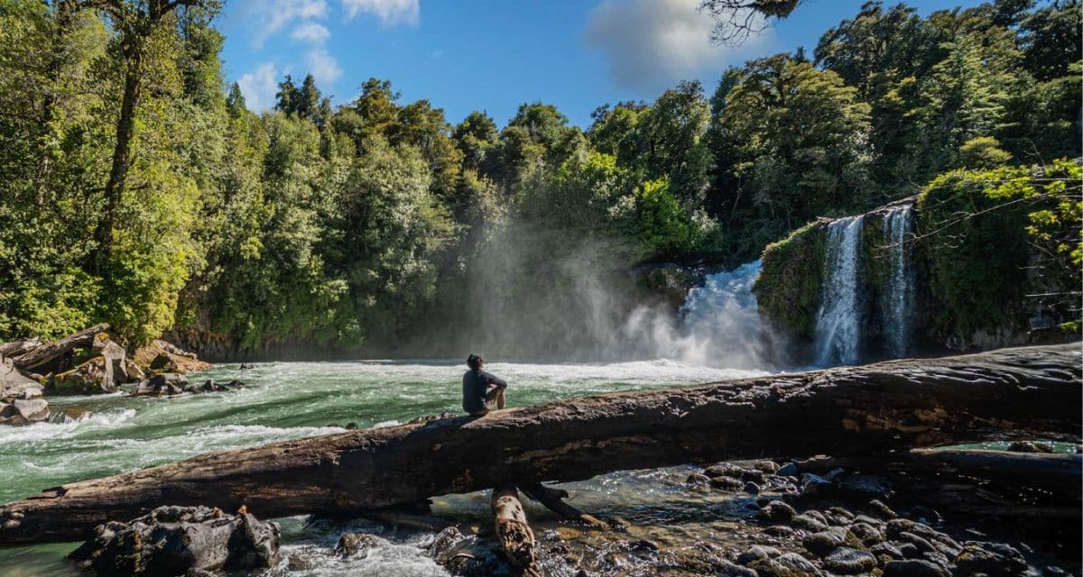 Parque Nacional Puyehue
