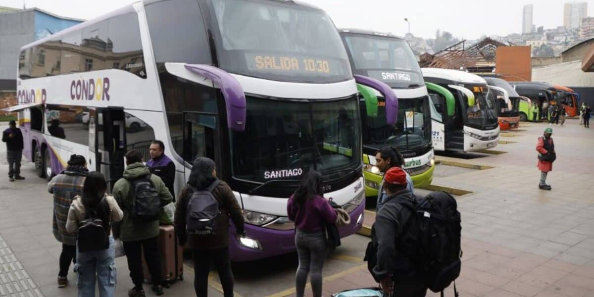 bus