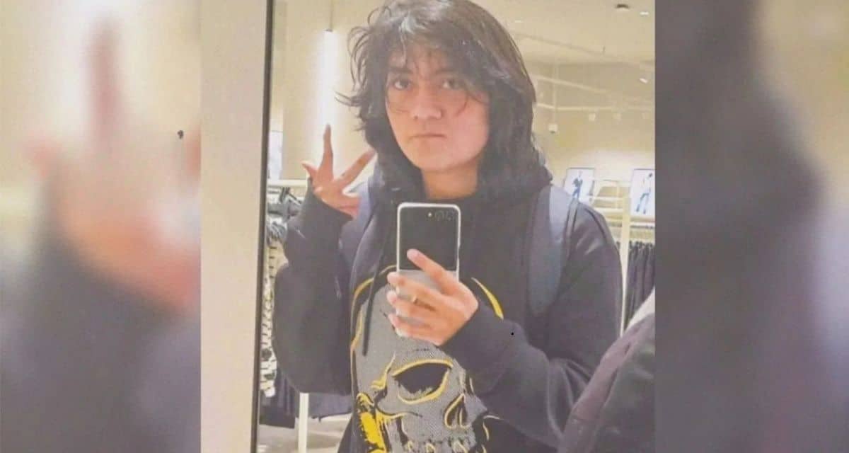 Hernán Meneses Leal