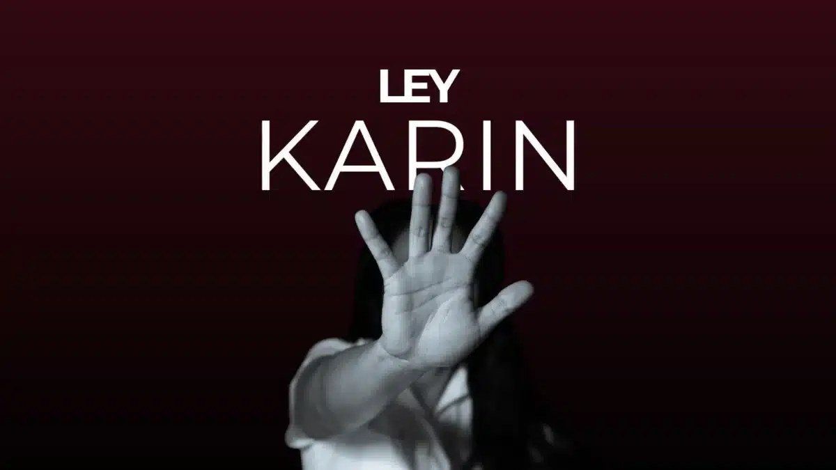 Ley Karin