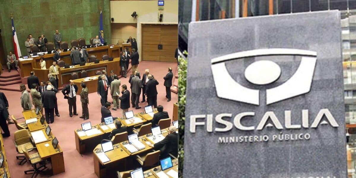 diputados