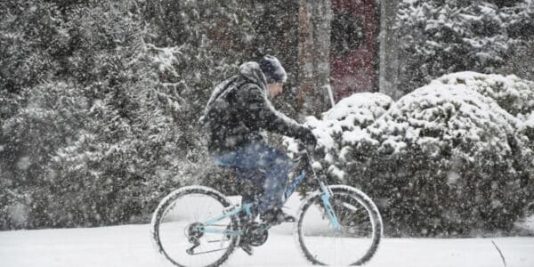 nieve