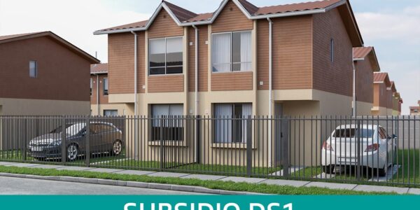 Subsidio DS1
