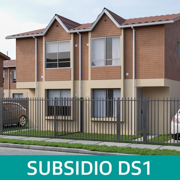 Subsidio DS1