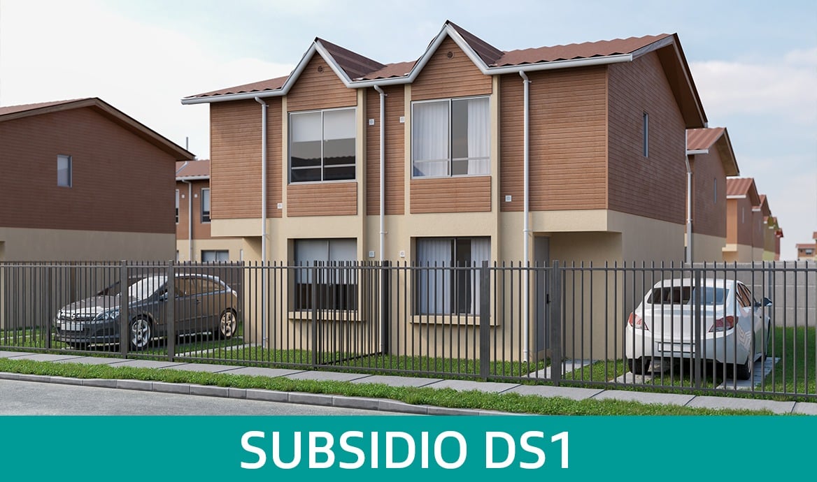 Subsidio DS1