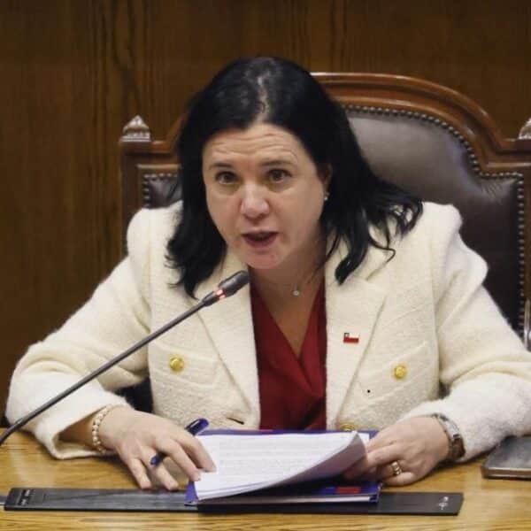 Trinidad Steinert durante su exposición en el Congreso Nacional