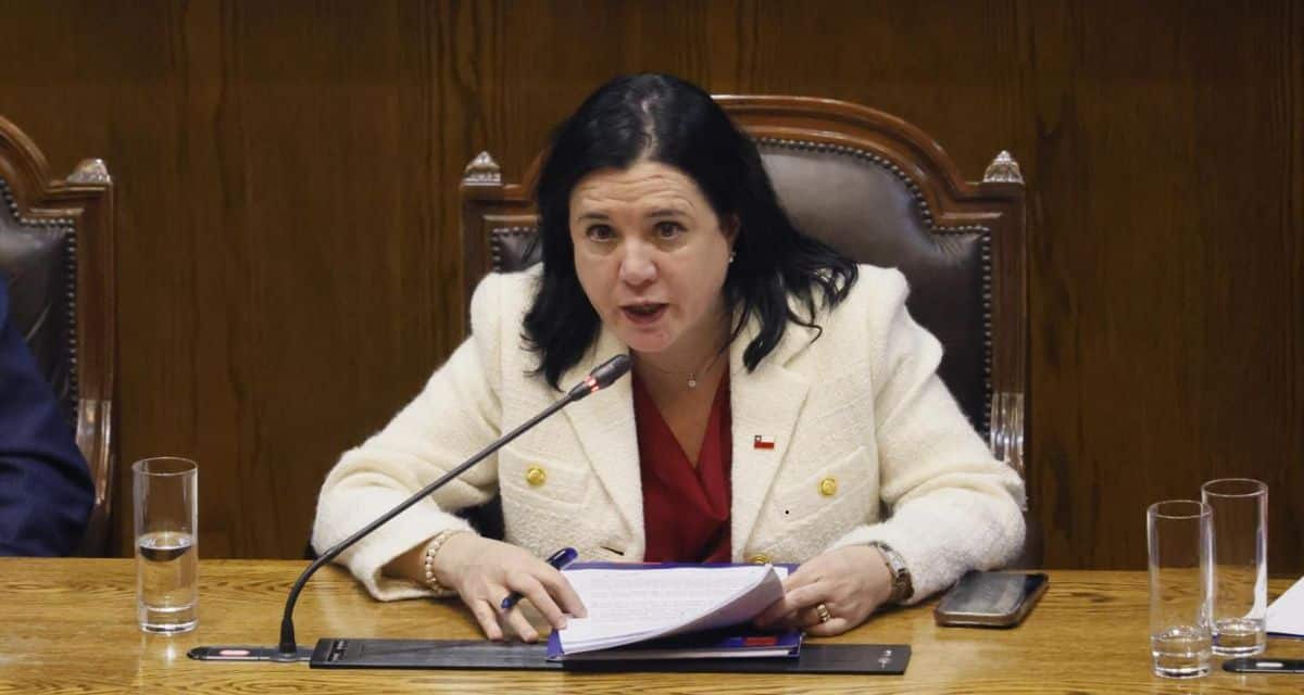 Trinidad Steinert durante su exposición en el Congreso Nacional