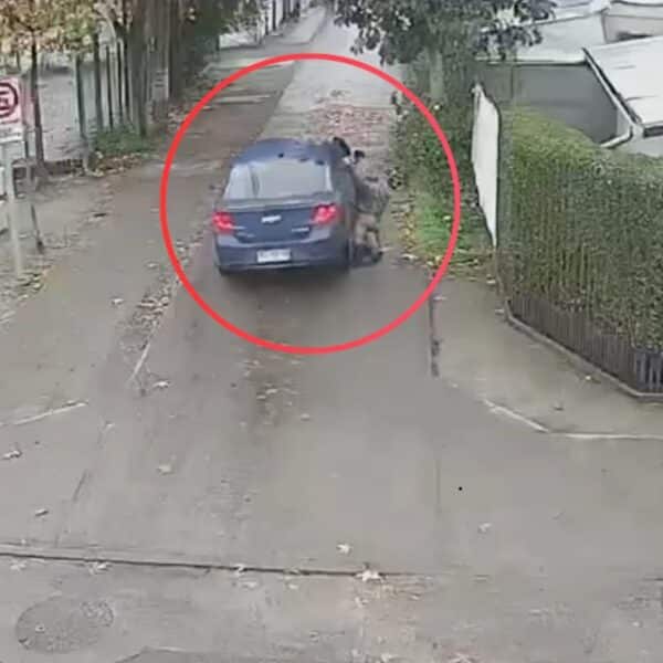 Carabinero arrastrado en Chiguayante por un vehículo durante control policial
