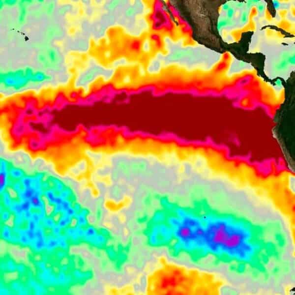 El Niño en Chile podría alcanzar su máxima intensidad durante la primavera y provocar lluvias y heladas tardías