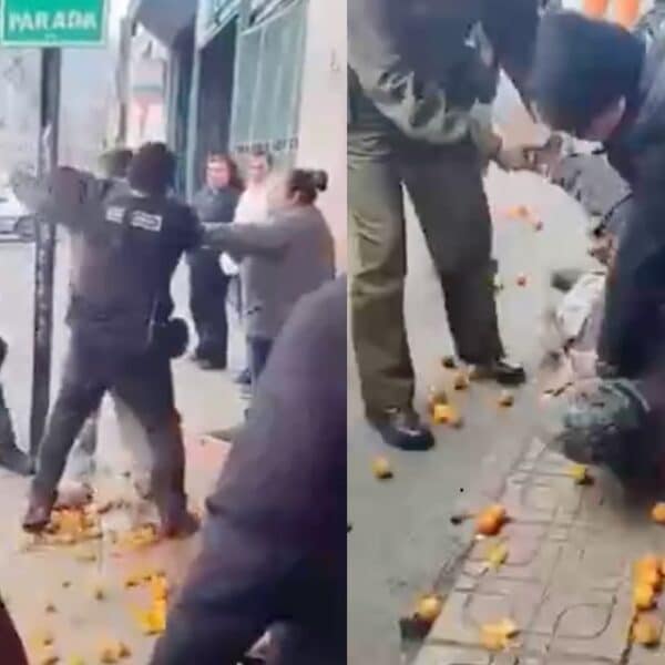 Fiscalización en Curicó a vendedor ambulante durante incautación de frutas