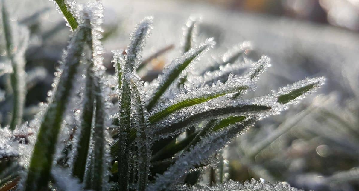 Heladas en Chile con temperaturas de hasta -4 °C entre Valparaíso y Biobío