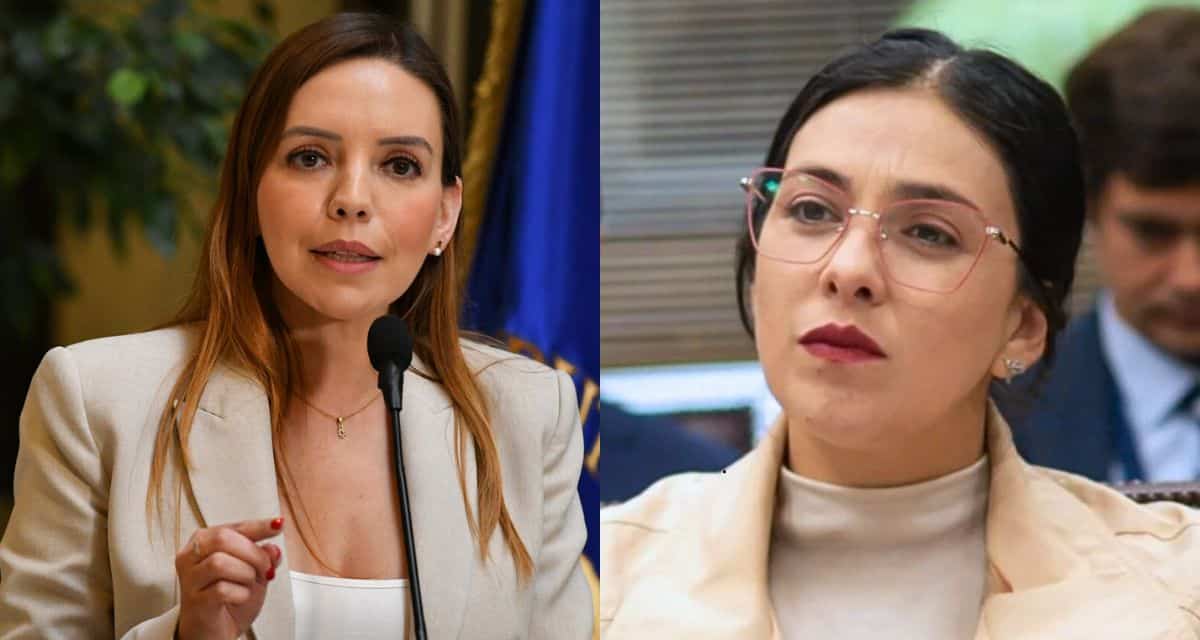 Karol Cariola entrega apoyo a Camila Flores tras denuncia por filtración de imágenes íntimas