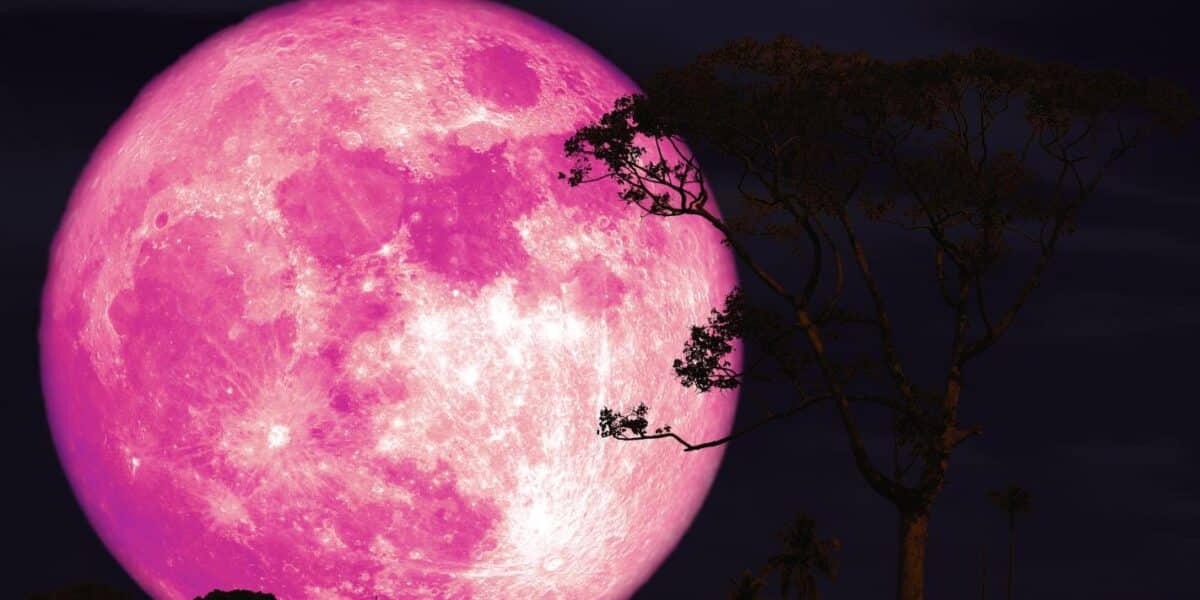 Luna de Fresa será visible en Chile y coincidirá con una microluna