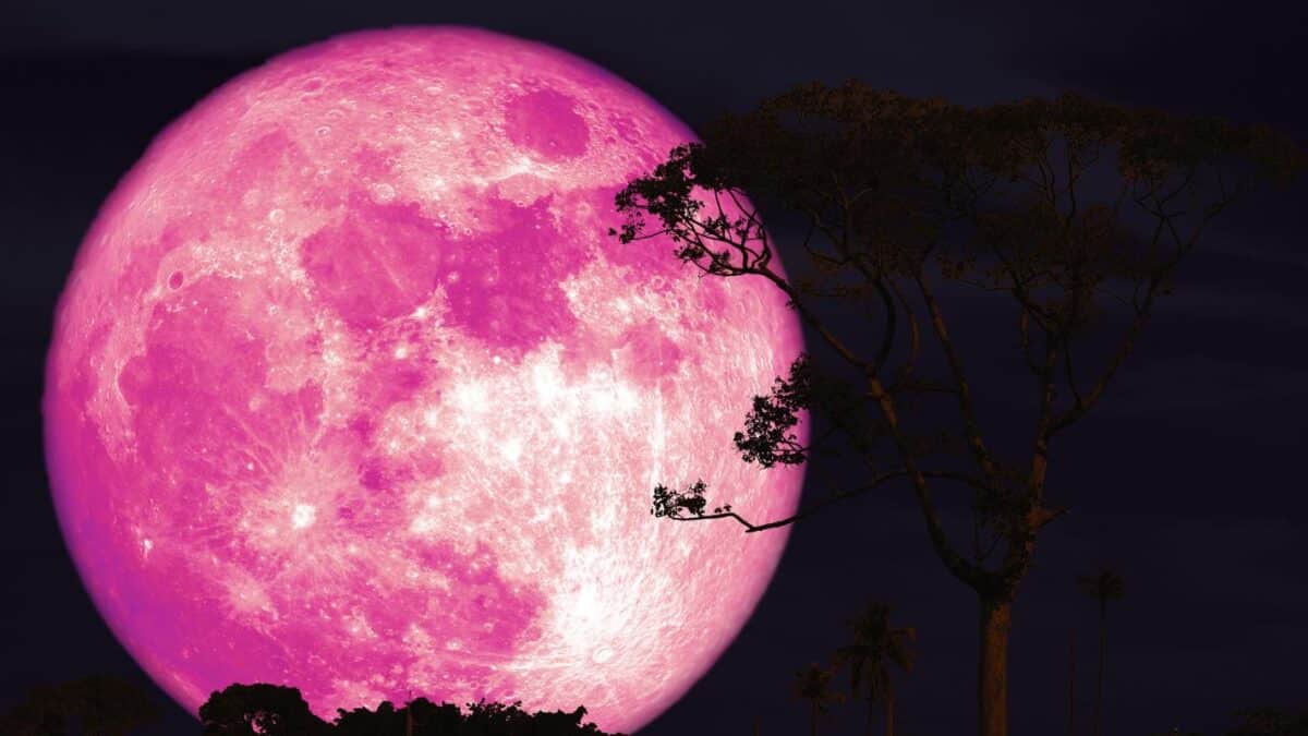 Luna de Fresa será visible en Chile y coincidirá con una microluna
