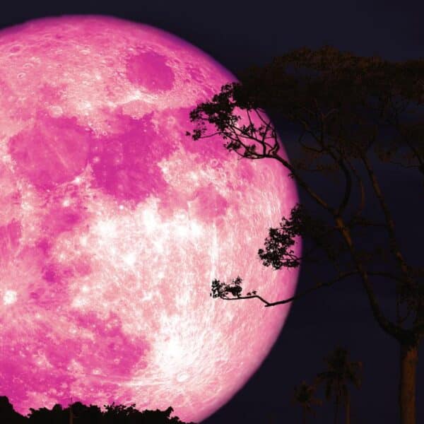 Luna de Fresa será visible en Chile y coincidirá con una microluna