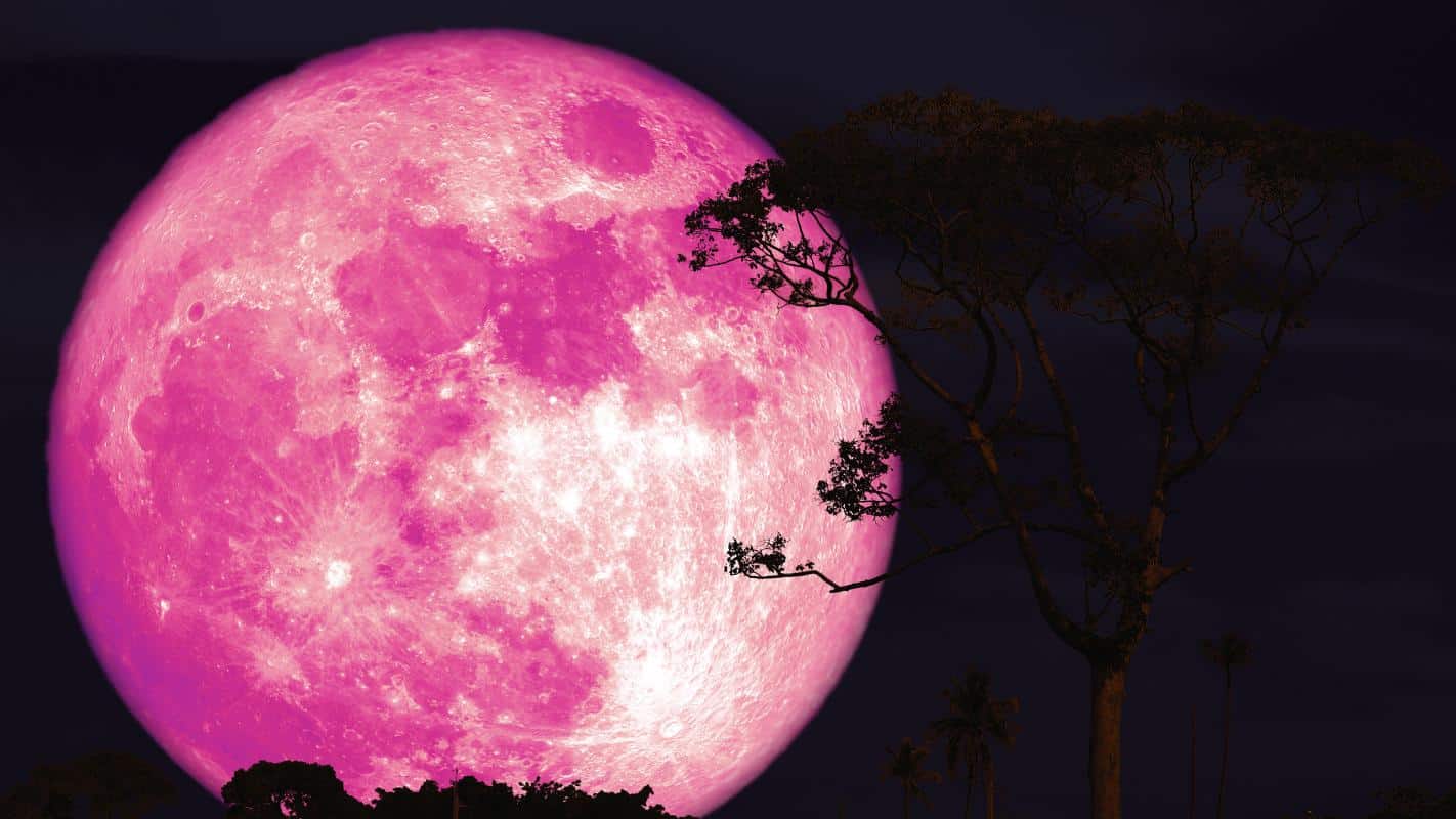 Luna de Fresa será visible en Chile y coincidirá con una microluna