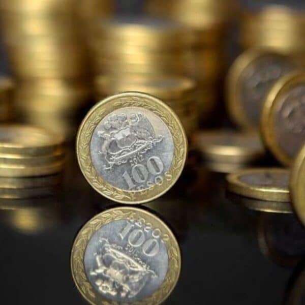 Moneda de $100 con copihues que es buscada por coleccionistas en Chile