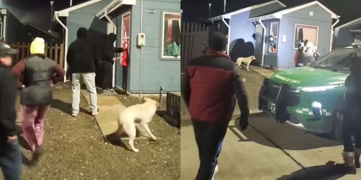 Operativo vecinal en Puerto Montt termina con detenido por robo de balón de gas