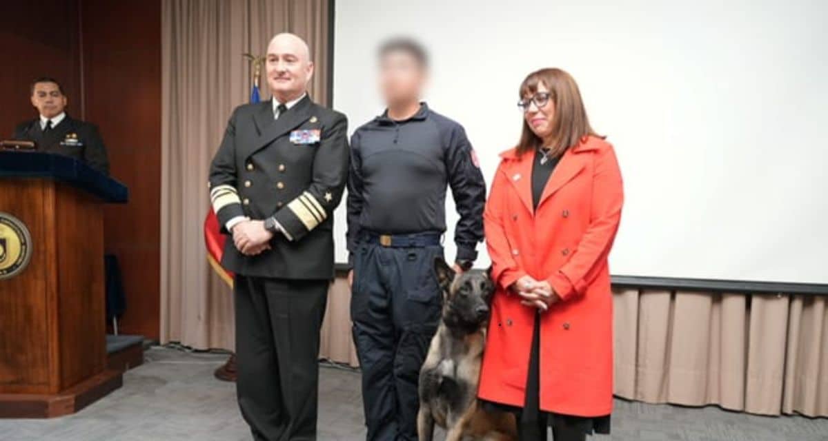 Perro antidrogas de la Armada será reentrenado tras incidente con vicealmirante
