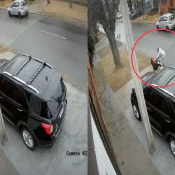 Robo en Quinta Normal afectó a mujer de 62 años que fue atacada por delincuentes en plena vía pública