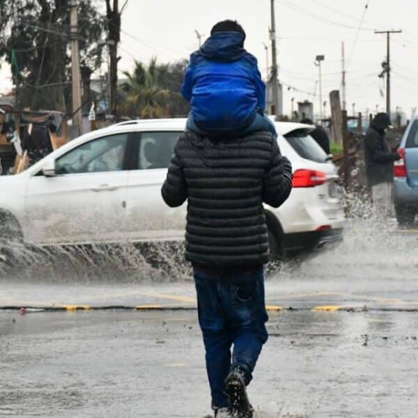 Sistema frontal llegaría con más de 60 milímetros de lluvia a La Araucanía y Los Ríos