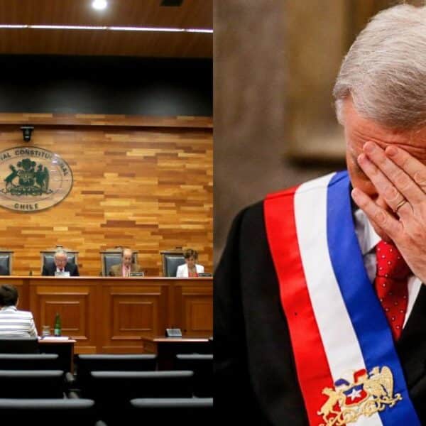 Tribunal Constitucional declara inconstitucionales normas de Escuelas Protegidas