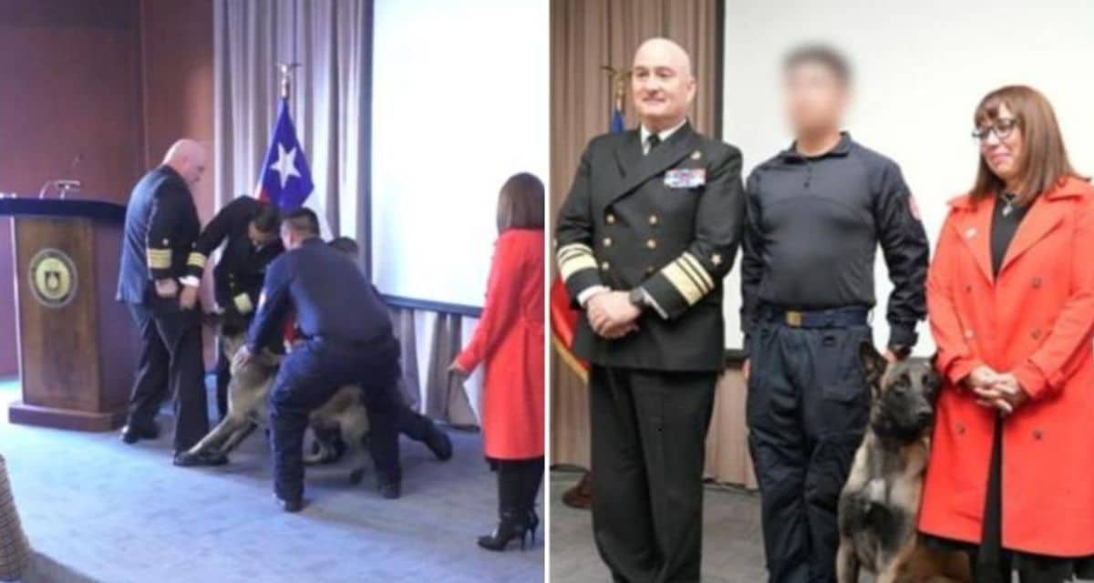 Vicealmirante Arturo Oxley