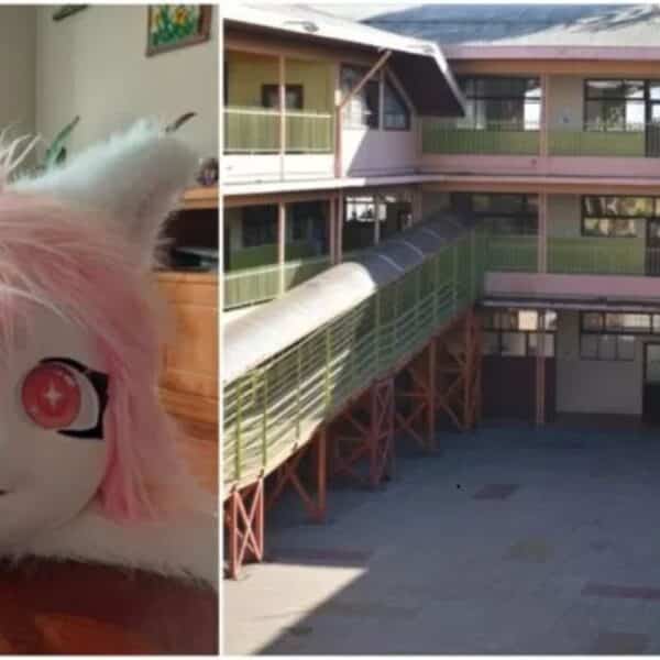 Instituto Claret de Temuco investiga denuncia por agresión a niña de 10 años