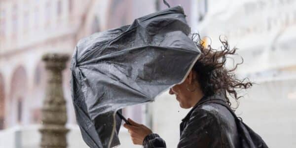 Viento Puelche con ráfagas de hasta 100 km/h afectará Biobío, La Araucanía y Los Ríos