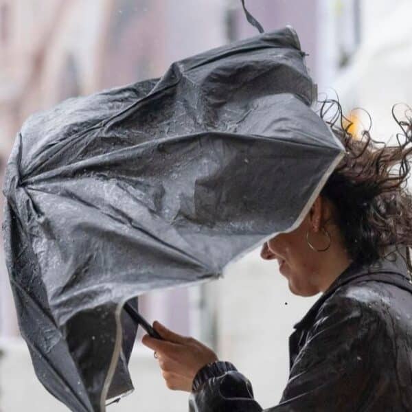 Viento Puelche con ráfagas de hasta 100 km/h afectará Biobío, La Araucanía y Los Ríos