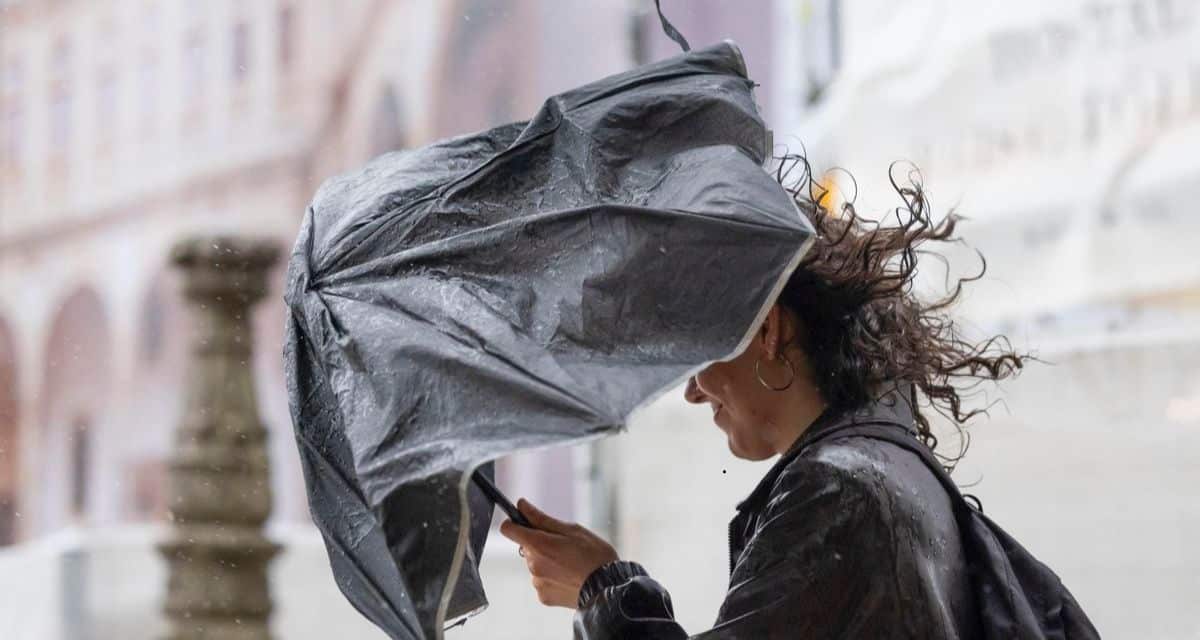 Viento Puelche con ráfagas de hasta 100 km/h afectará Biobío, La Araucanía y Los Ríos