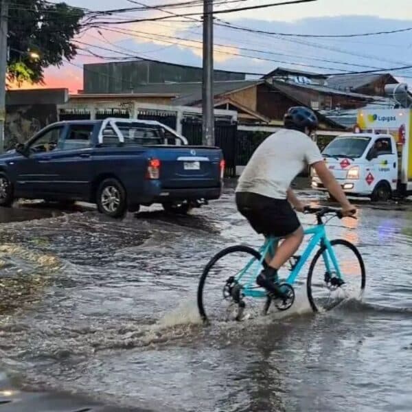 Alarma meteorológica por precipitaciones intensas en La Araucanía y Los Ríos
