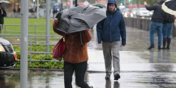 Alerta Amarilla en La Araucanía y Los Ríos por intensas lluvias y riesgo de aluviones
