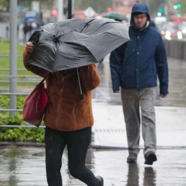 Alerta Amarilla en La Araucanía y Los Ríos por intensas lluvias y riesgo de aluviones