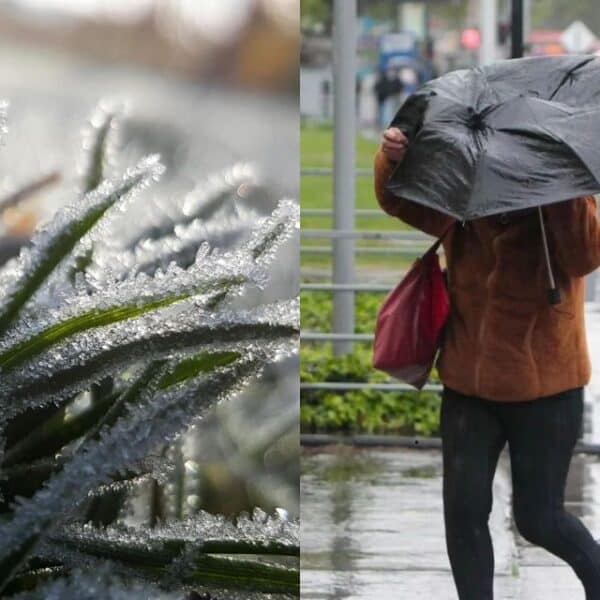 Aviso meteorológico de Senapred por temperaturas de hasta -4 °C y fuertes vientos en el sur de Chile