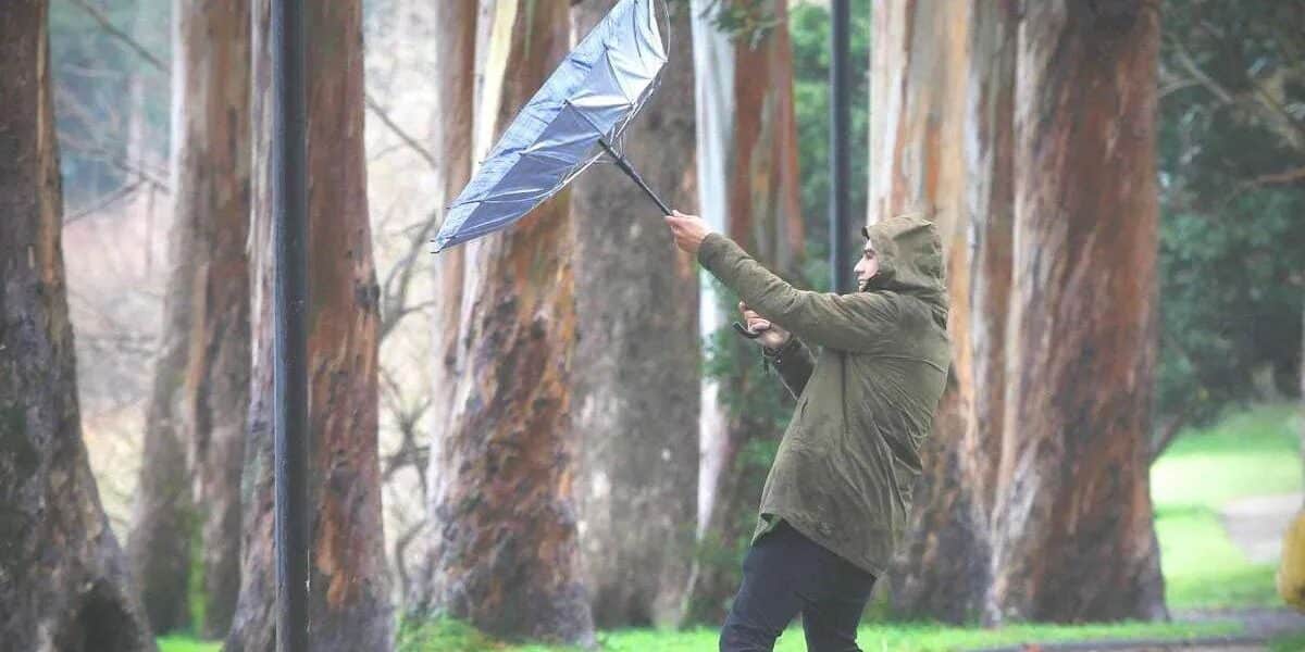 Aviso por viento y ventiscas afectará a siete regiones de Chile entre el 30 de julio y el 1 de agosto
