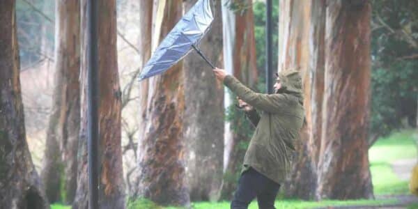Aviso por viento y ventiscas afectará a siete regiones de Chile entre el 30 de julio y el 1 de agosto