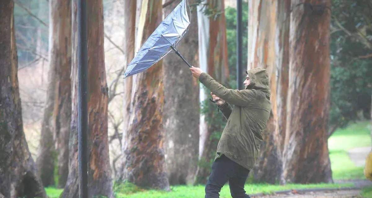 Aviso por viento y ventiscas afectará a siete regiones de Chile entre el 30 de julio y el 1 de agosto