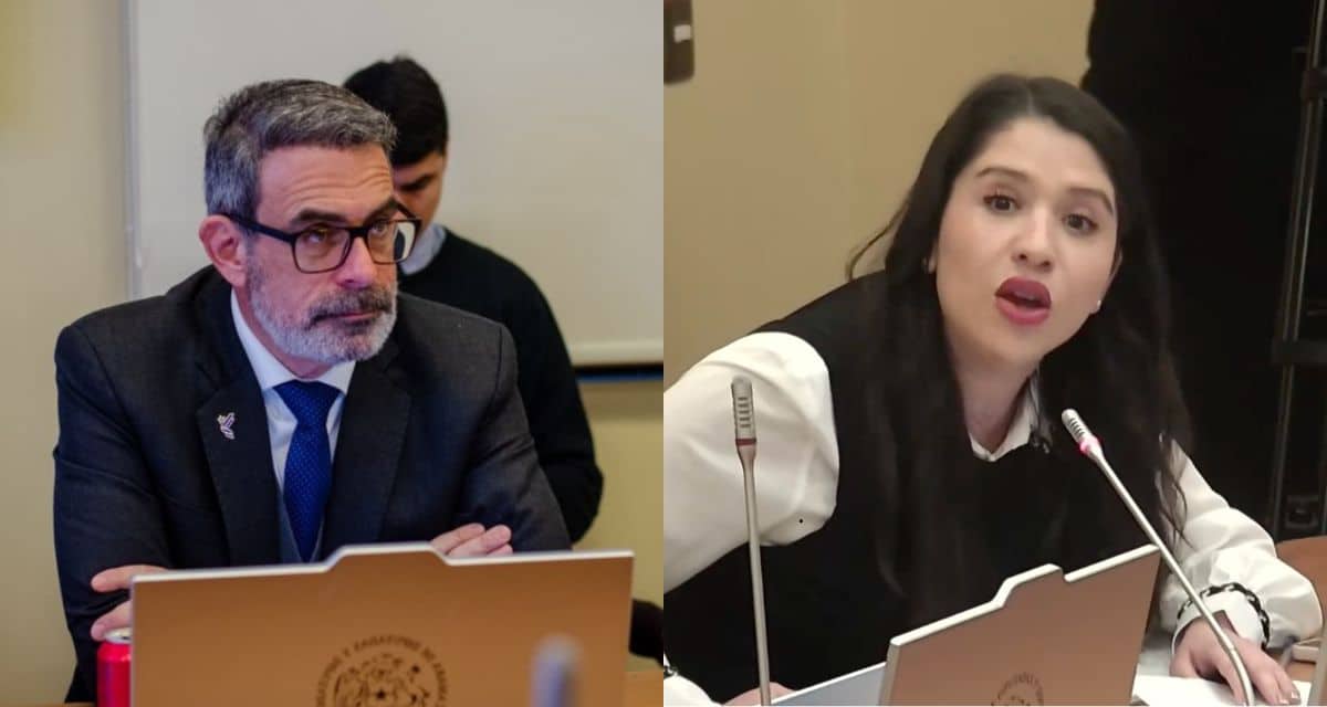 Consuelo Veloso protagoniza fuerte discusión con el diputado Pier Karlezi en una comisión investigadora